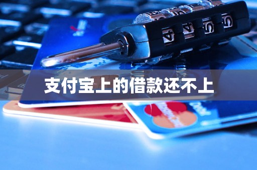 支付宝上的借款还不上