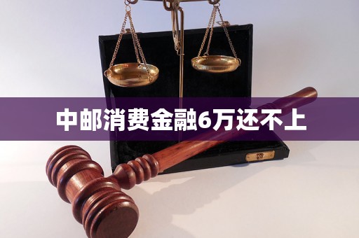 中邮消费金融6万还不上 中邮消费金融6万还不上