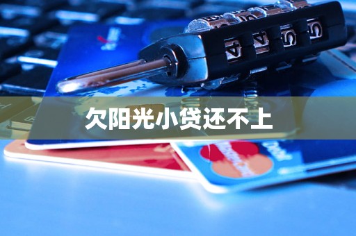 欠阳光小贷还不上