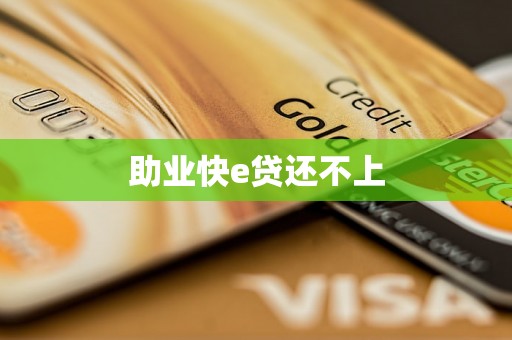 助业快e贷还不上