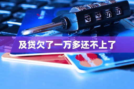 及贷欠了一万多还不上了