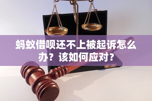 蚂蚁借呗还不上被起诉怎么办?该如何应对? 蚂蚁借呗还不上被起诉怎么办?该如何应对?
