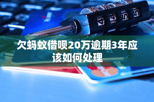 欠蚂蚁借呗20万逾期3年应该如何处理