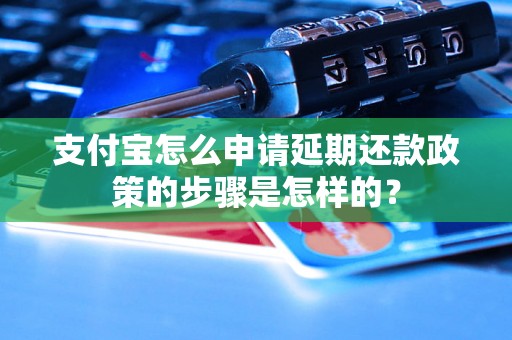 支付宝怎么申请延期还款政策的步骤是怎样的？