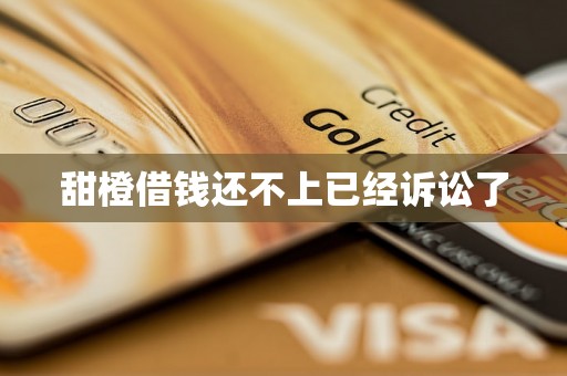 甜橙借钱还不上已经诉讼了