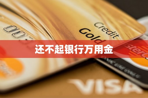 还不起银行万用金