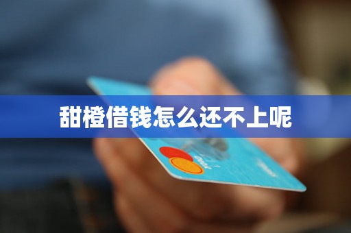 甜橙借钱怎么还不上呢