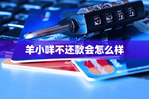 羊小咩不还款会怎么样