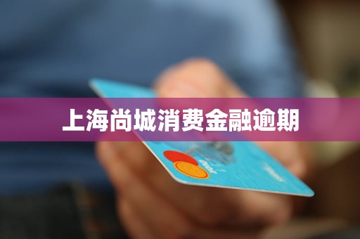 上海尚城消費金融逾期