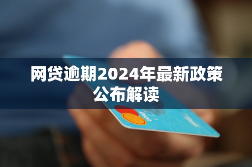 网贷逾期2024年最新政策公布解读