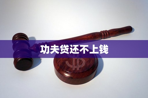 功夫贷还不上钱