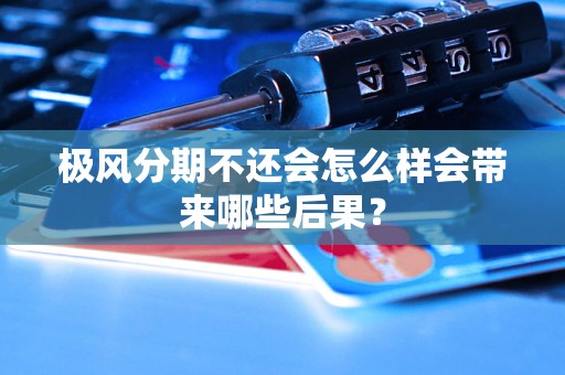 极风分期不还会怎么样会带来哪些后果？