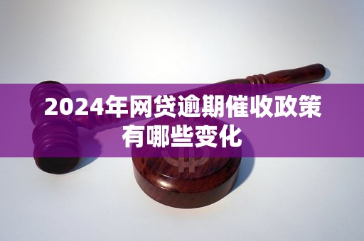 2024年网贷逾期催收政策有哪些变化