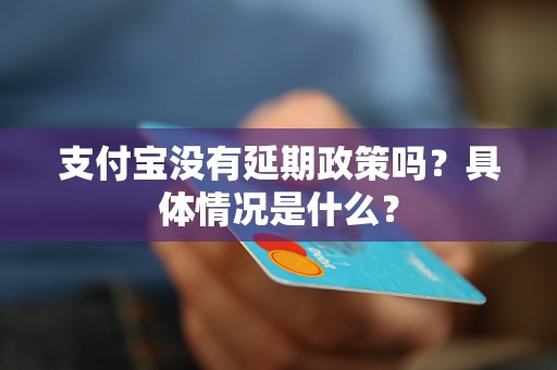 支付宝没有延期政策吗？具体情况是什么？