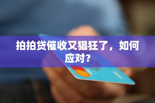 拍拍贷催收又猖狂了，如何应对？