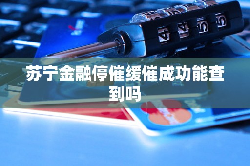 苏宁金融停催缓催成功能查到吗