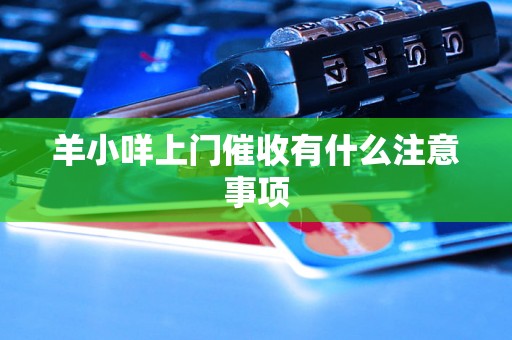 羊小咩上门催收有什么注意事项