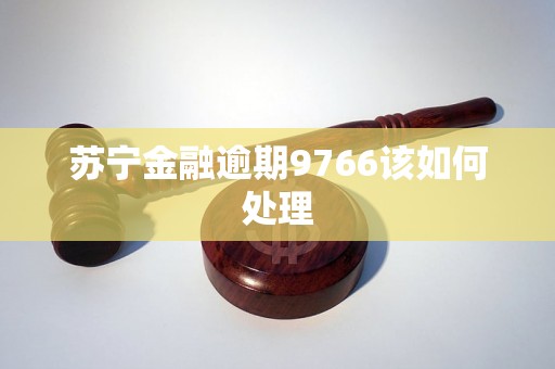 苏宁金融逾期9766该如何处理