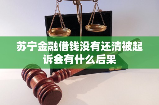 苏宁金融借钱没有还清被起诉会有什么后果