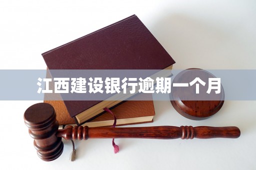 江西建设银行逾期一个月