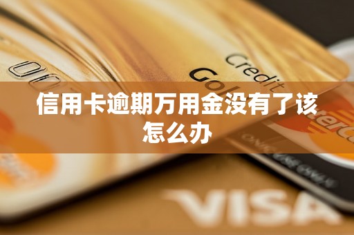信用卡逾期万用金没有了该怎么办