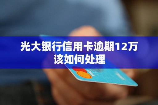 光大银行信用卡逾期12万该如何处理 光大银行信用卡逾期12万该如何处理