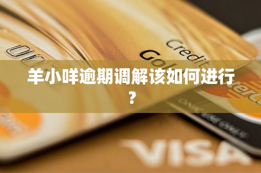 羊小咩逾期调解该如何进行？