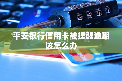 平安银行信用卡被提醒逾期该怎么办