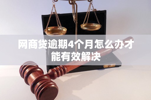 网商贷逾期4个月怎么办才能有效解决