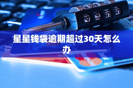 星星钱袋逾期超过30天怎么办
