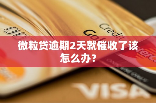 微粒贷逾期2天就催收了该怎么办？