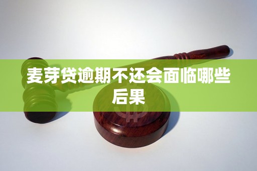 麦芽贷逾期不还会面临哪些后果