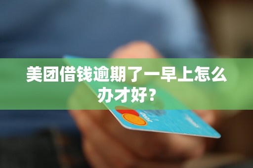 美团借钱逾期了一早上怎么办才好？