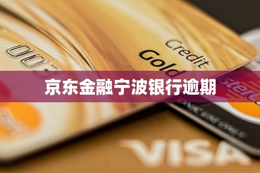 京东金融宁波银行逾期