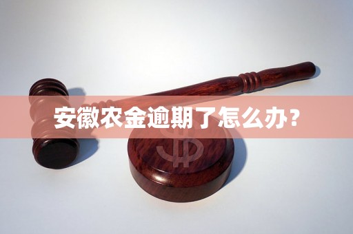 安徽农金逾期了怎么办? 安徽农金逾期了怎么办?
