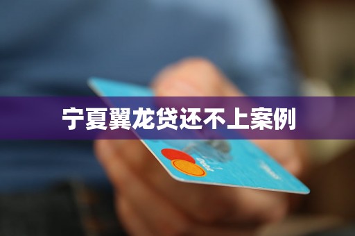 宁夏翼龙贷还不上案例
