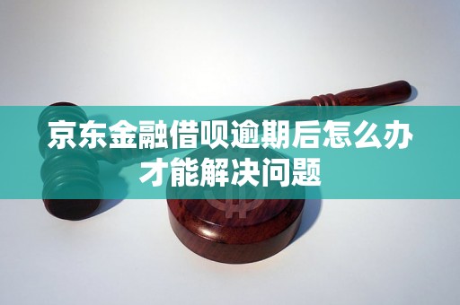京东金融借呗逾期后怎么办才能解决问题