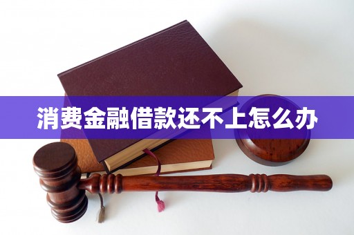 消费金融借款还不上怎么办