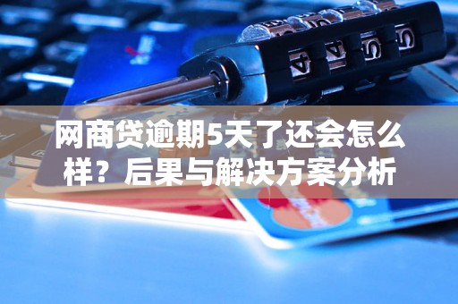 网商贷逾期5天了还会怎么样？后果与解决方案分析