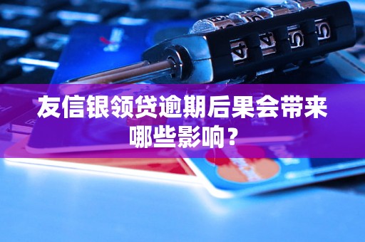 友信银领贷逾期后果会带来哪些影响？