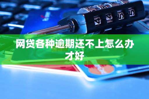 网贷各种逾期还不上怎么办才好