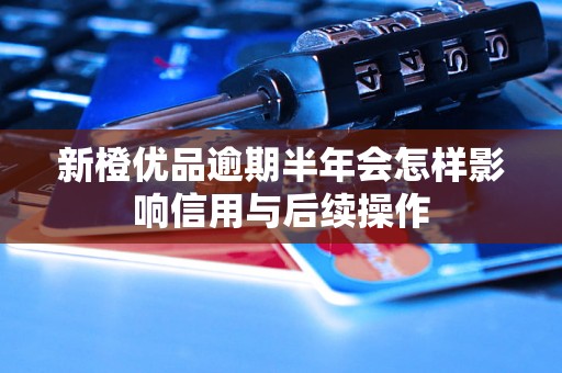 新橙优品逾期半年会怎样影响信用与后续操作