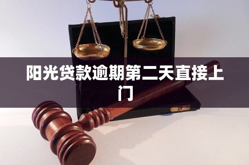 阳光贷款逾期第二天直接上门