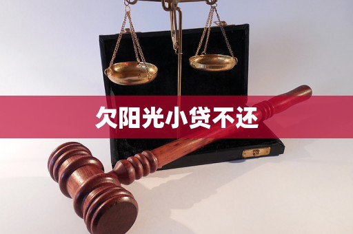 欠阳光小贷不还