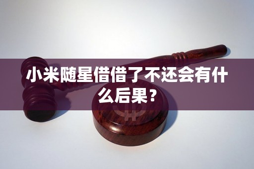 小米随星借借了不还会有什么后果? 小米随星借借了不还会有什么后果?