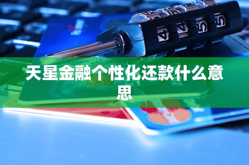 天星金融个性化还款什么意思