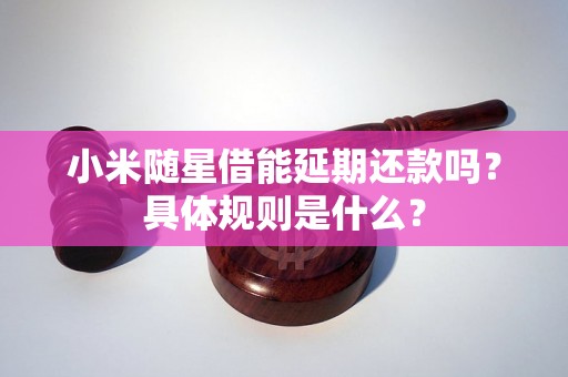 小米随星借能延期还款吗？具体规则是什么？
