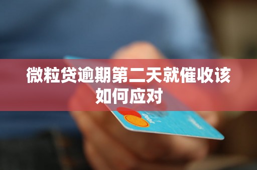 微粒贷逾期第二天就催收该如何应对 微粒贷逾期第二天就催收该如何应对