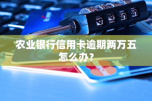 农业银行信用卡逾期两万五怎么办？