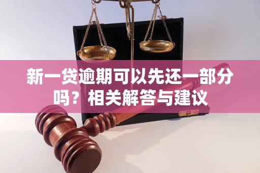新一贷逾期可以先还一部分吗？相关解答与建议